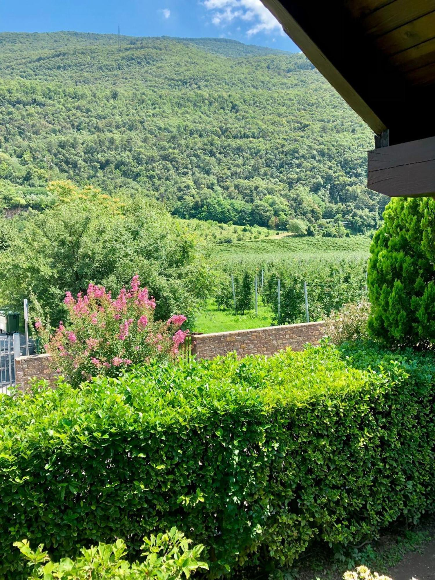 Casa Sally San Michele allʼAdige Exterior foto